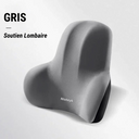  Lombaire GRIS